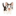 pixabay