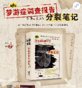 《梦游症：马凯文的分裂笔记》