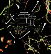 硬核推理《雪萤》