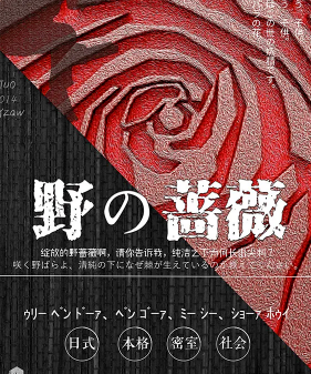 野の蔷薇剧本杀