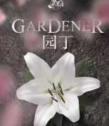 <b>《园丁》</b>
