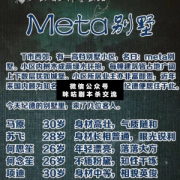 <b>《Meta别墅》</b>