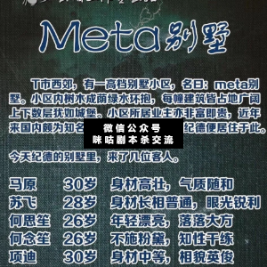 Meta别墅剧本杀