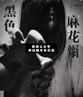 黑色麻花辫剧本杀