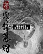 <b>古风本《凤凰于飞寒锋落羽》</b>