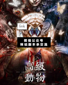 高级动物剧本杀