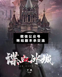 谍血冰城剧本杀复盘