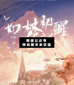 如梦初醒之人剧本杀复盘