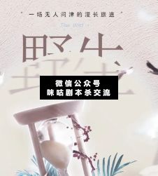 野生剧本杀复盘