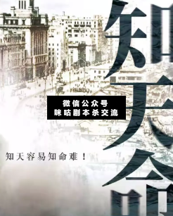 知天命剧本杀复盘