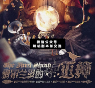 硬核本《爱尔兰多的巫师》