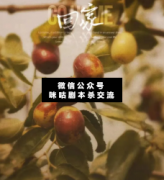 【演绎本】回家