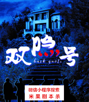 双隐号剧本杀