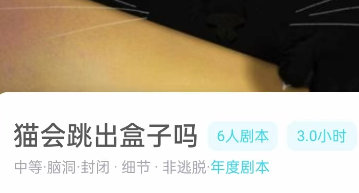 猫会跳出盒子吗剧本杀