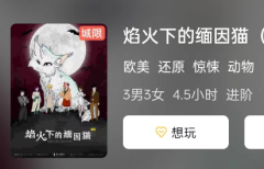 焰火下的缅因猫剧本杀复盘答案揭秘:游戏体验测评及简介，案件任务推理思路