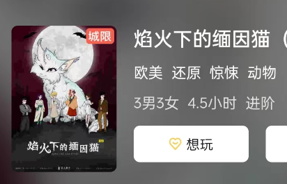 焰火下的缅因猫剧本杀