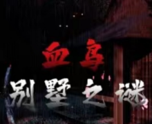 血鸟别墅之谜我是谜答案凶手（复盘剧透）剧本杀真相结局攻略解析！
