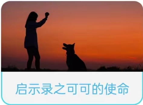 启示录之可可的使命剧本杀