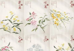 红豆2:月光剧本杀复盘测评_机制规则_线索