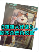 《猫猫大作战》剧本杀复盘解析：萌宠迷