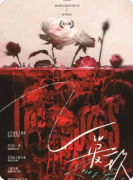 《爱玫》剧本杀复盘攻略指南：线索流程