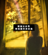 <b>《流星》</b>