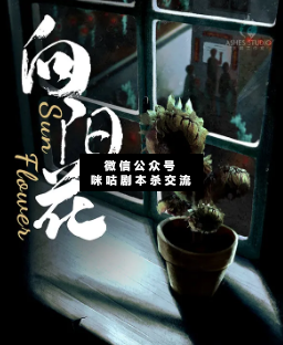 向阳花剧本杀