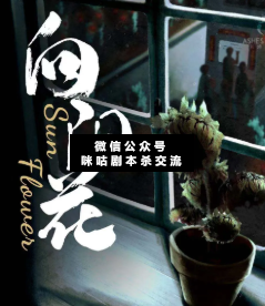 向阳花剧本杀