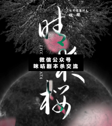 晴夜樱剧本杀