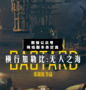 <b>《横行加勒比无人之海》</b>