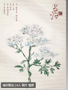 红豆2月光剧本杀选角保姆级攻略（红豆