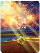 给你一朵太阳花剧本杀复盘测评（情感