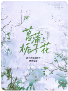 《栀子花落》剧本杀复盘解析_流程规则