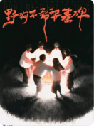 <b>《野狗不需要墓碑》剧本杀复盘解析：荒野迷局生死真相终极揭露</b>
