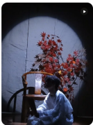 《兔儿眨眼的盛夏》我是谜答案:仲夏奇遇谜踪/玉兔守护之谜/月光森林奇案