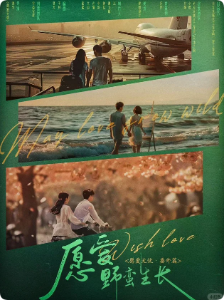 《愿爱无忧2野蛮生长》剧本杀